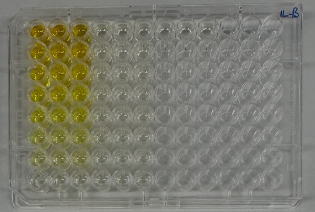 Mouse IL-1 beta/IL-1F2 DuoSet ELISA DY401
